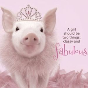 Meet your Posher, Lesa